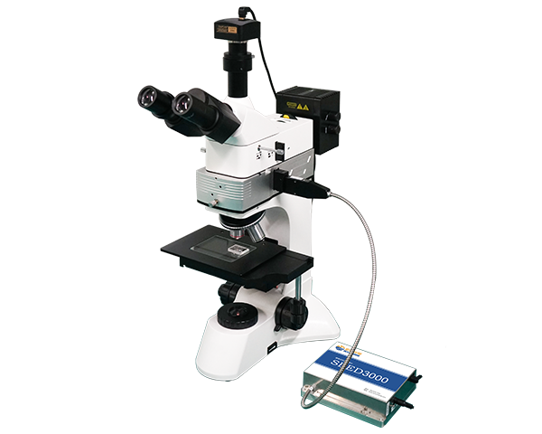 国产拉曼国产麻豆成人传媒免费观看 国产拉曼国产麻豆成人传媒免费观看